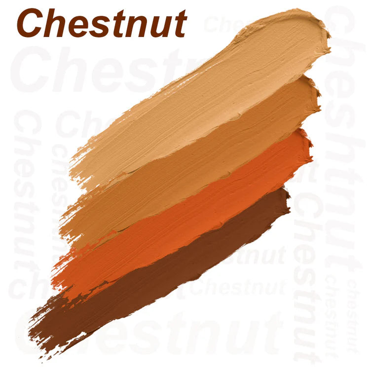 F52 4 COLOR CONCEALER