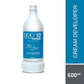 RAAGA PRO 10 20VOL DEVELOPER 500ml