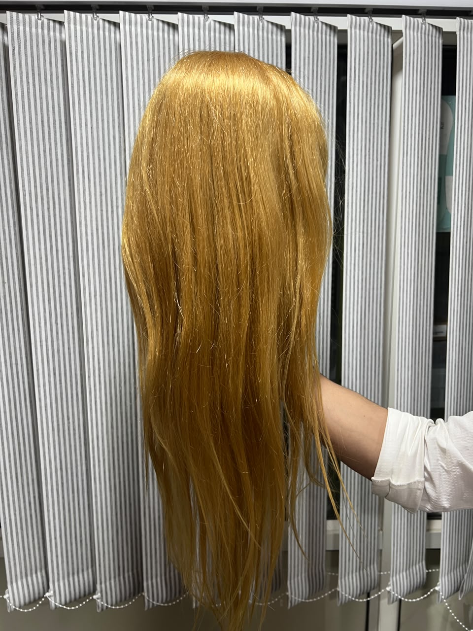 GALA HAIR DUMMY GOLDEN HAIR MRP 5000