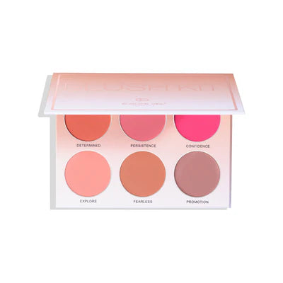 EUROPE GIRL BLUSH KIT PALLET