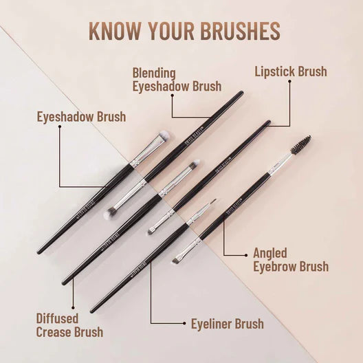 SWISS BEAUTY PROFESSIONAL SERIES SET OF 12 BRUSHES