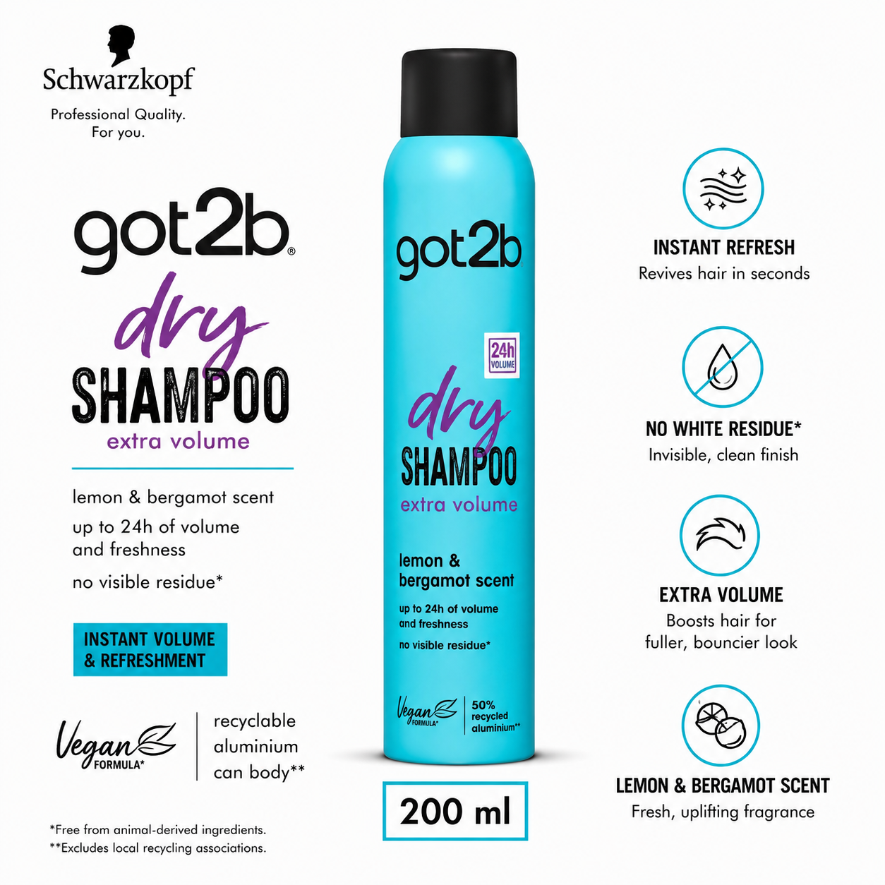 Schwarzkopf GOT2B DRY SHAMPOO