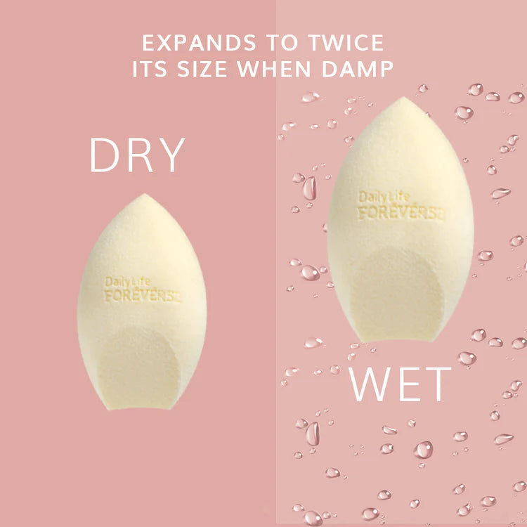 F52 BEAUTY SPONGES (BLENDERS)