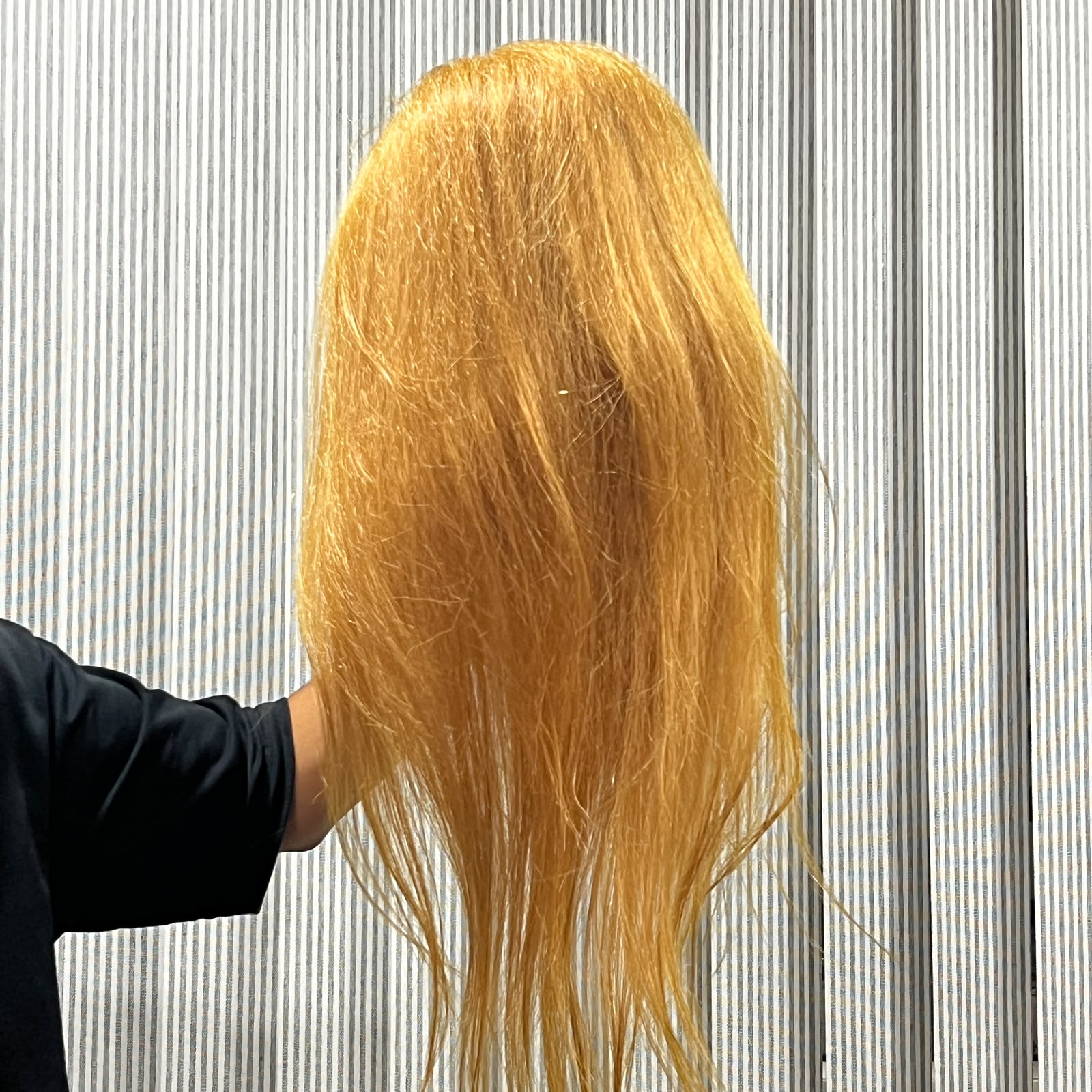 OMEY Wing Head Dummy - Golden 1805