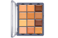 F52 Academic Concealer Palette FAC701