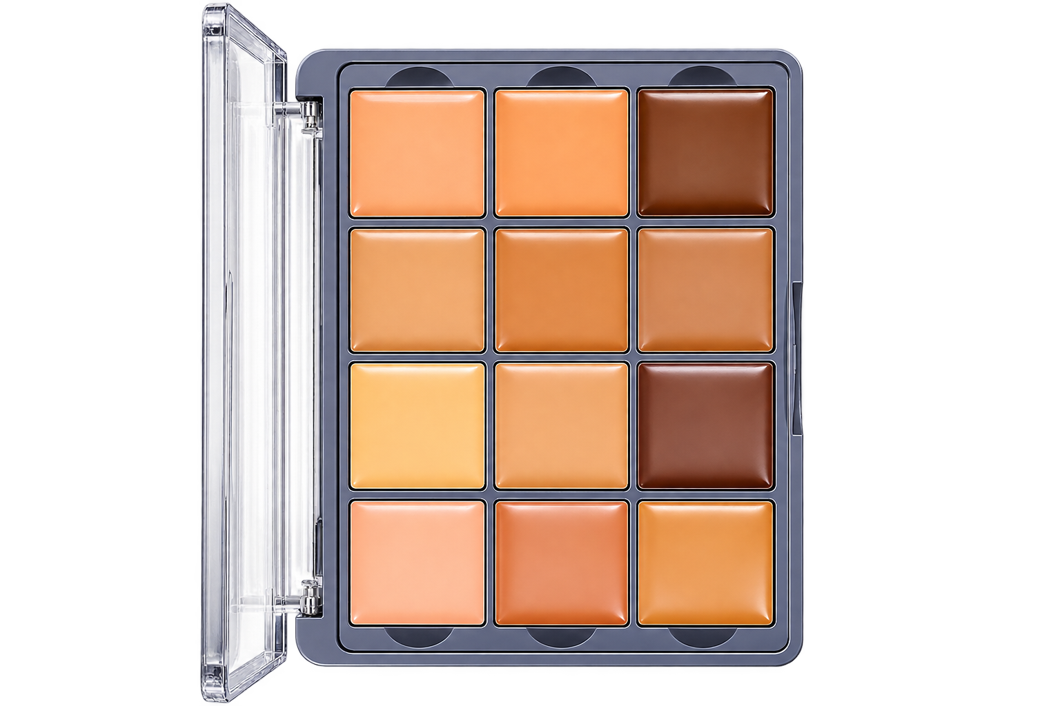 F52 Academic Concealer Palette FAC701